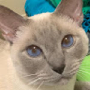 Meet your Posher, Darlene